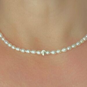 Freshwater Pearl Choker Necklace with Silver Bead